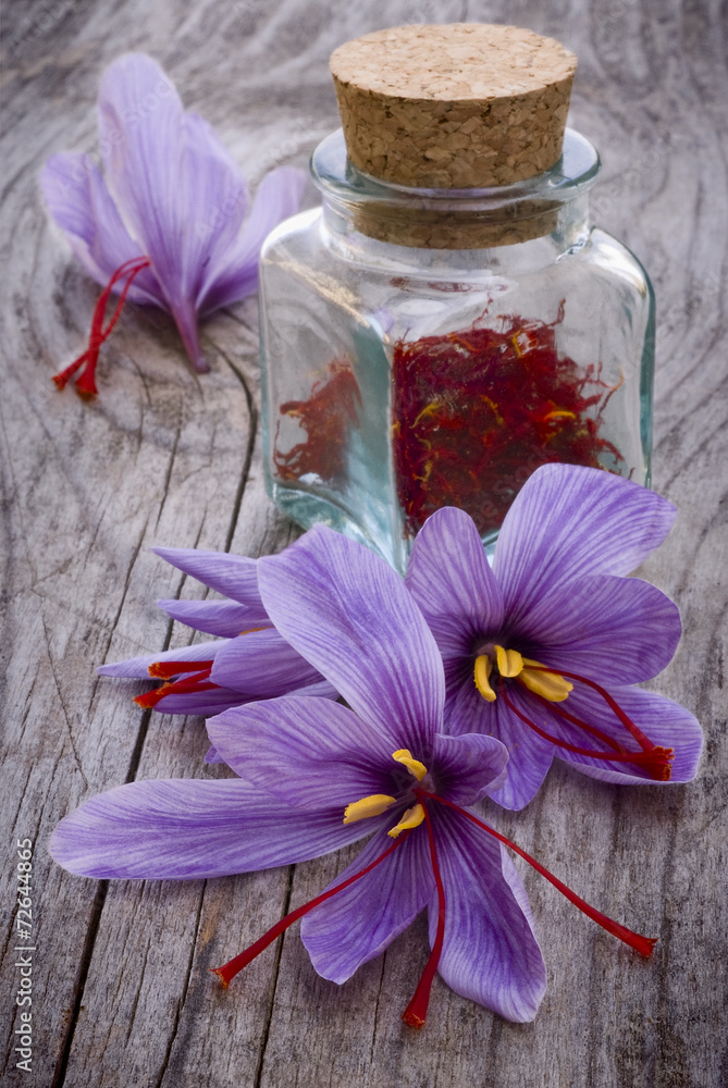 Saffron flowers (Crocus sativus) Saffron flowers (Crocus sativus)