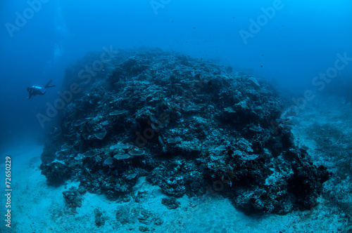 Diver, coral reefs, Gili, Lombok, Nusa Tenggara Barat underwater © fenkieandreas