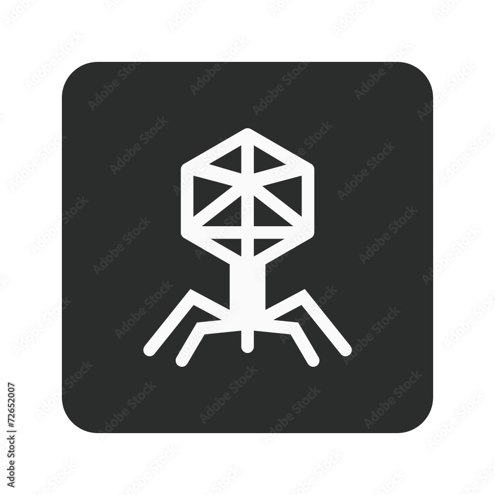 App Vector Icon App Vector Icon