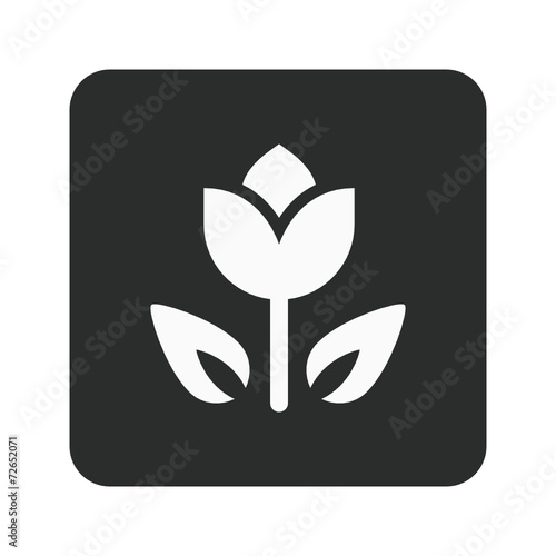 App Vector Icon