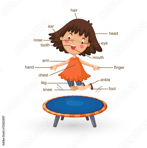 vocabulary part of body vector