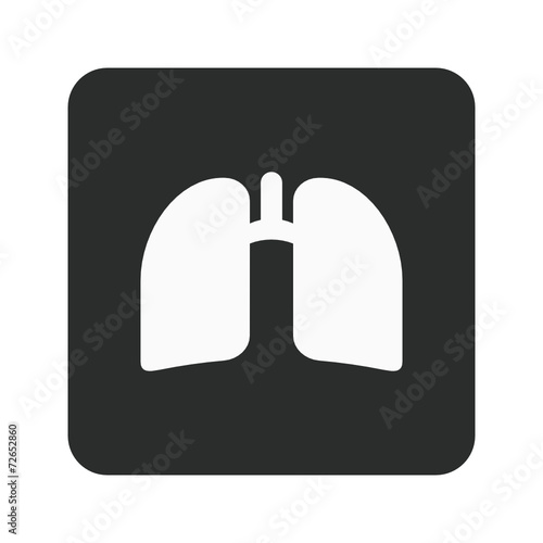 App Vector Icon