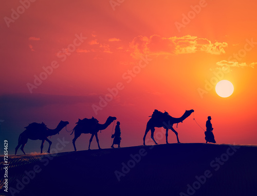Two cameleers with camels in dunes of Thar deser