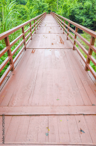 wood bridge to the natural site