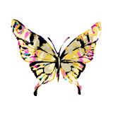 butterfly188