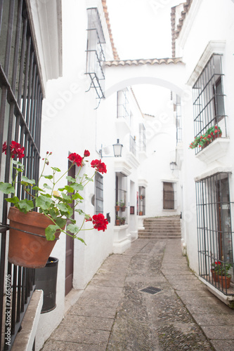 Fototapeta Naklejka Na Ścianę i Meble -  Narrow Andalusian white street . Spain