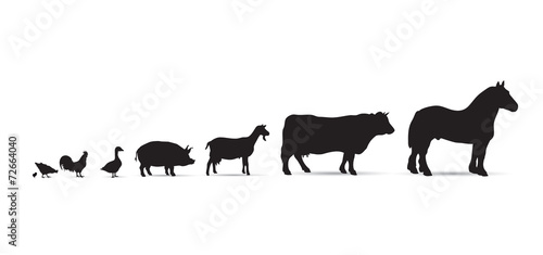 Frise-animaux de la ferme