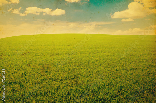 Green field and blue sky © ZaZa studio