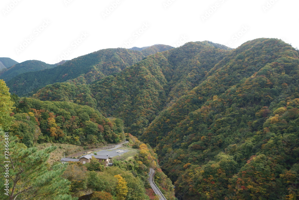 Fototapeta premium 紅葉の奥多摩