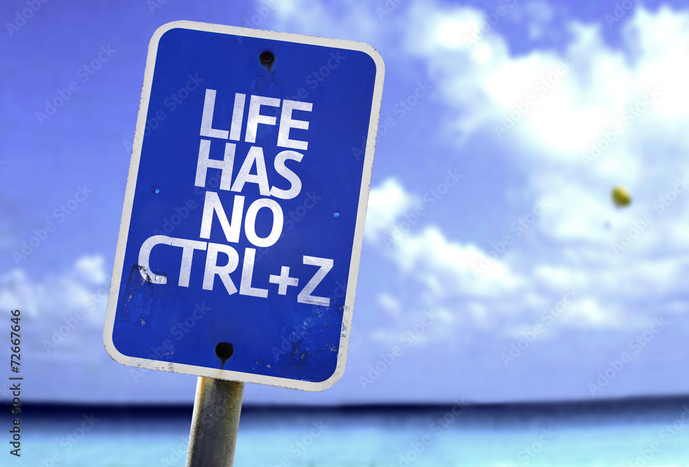 Life Has No CTRL+Z sign with a beach on background