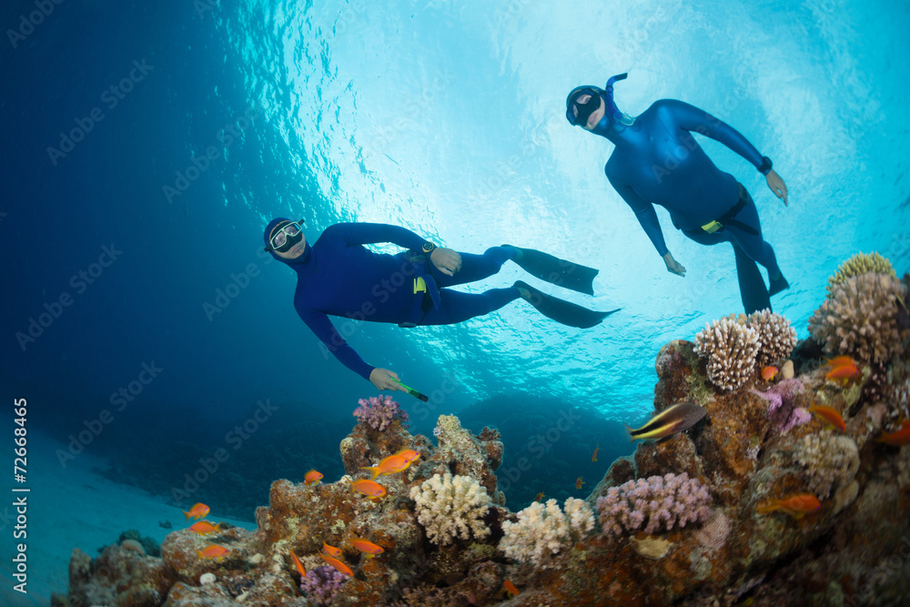 Freedivers Freedivers