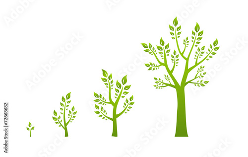 Green tree growth eco concept