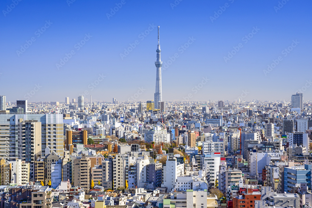 Obraz premium Tokyo, Japan Cityscape View