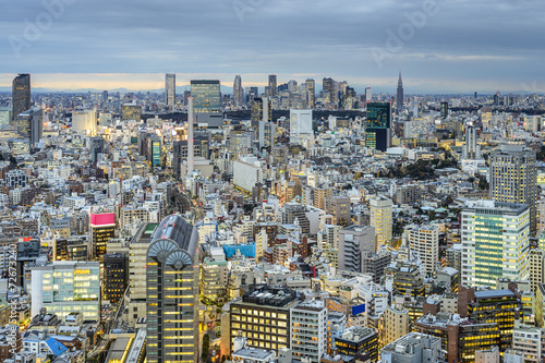 Tokyo, Japan Cityscape View