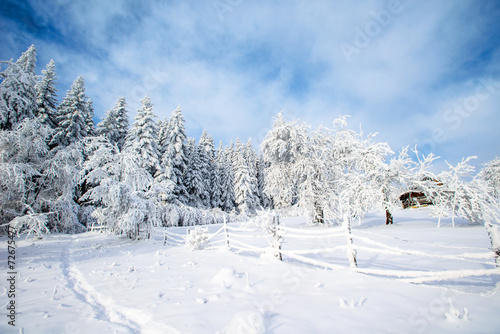 winter landscape © standret