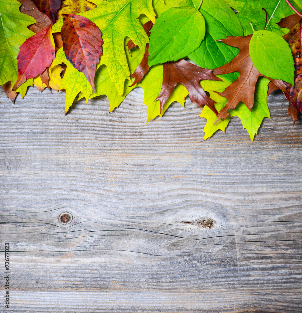 Autumn leaves over wooden background