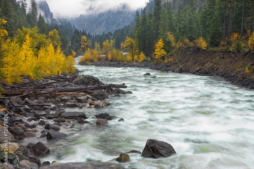 Foto Yellow trees and whitewater rapids.