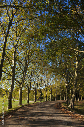 Forest of Chambord,  Loire et Cher, Centre region, France © Francisco Javier Gil