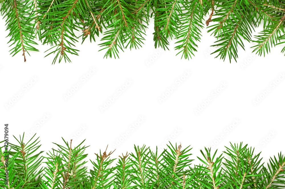 Christmas background with spruce branches Christmas background with spruce branches