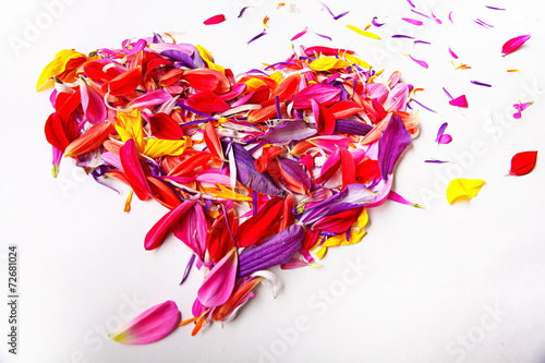 heart of the concept of flower petals on a white background