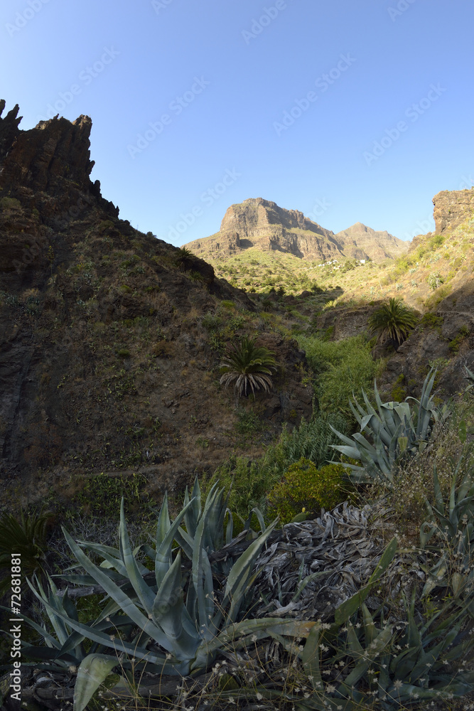 Masca canyon through a fisheye lens