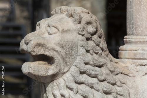 Lion in the city of Bergamo, Lombardy, Italy photo