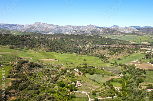 field in Ronda, Spain