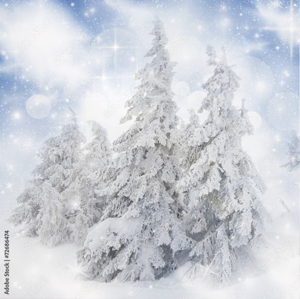 Christmas background with snowy fir trees Christmas background with snowy fir trees