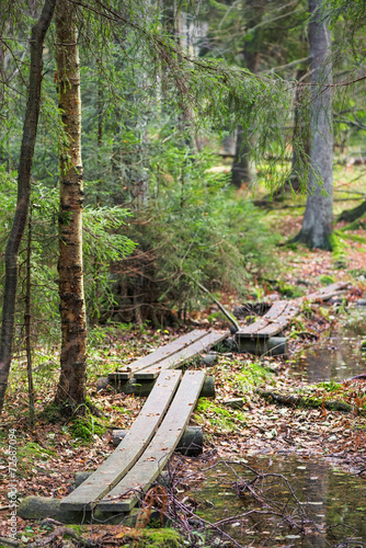 Marsh boardwalk in autumn l...