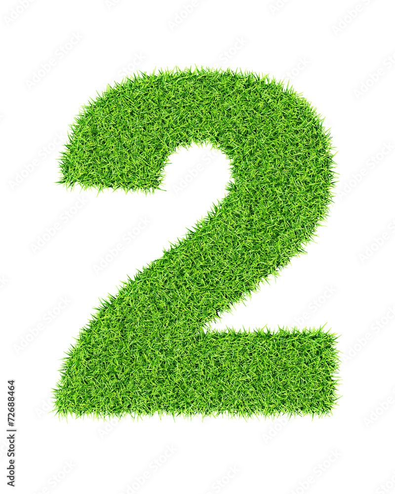 Grass number 2 Grass number 2