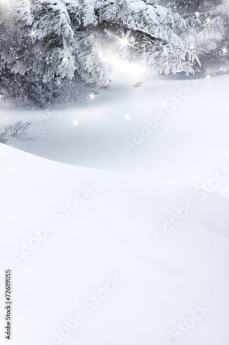 Wallpaper Mural Fresh snow Torontodigital.ca