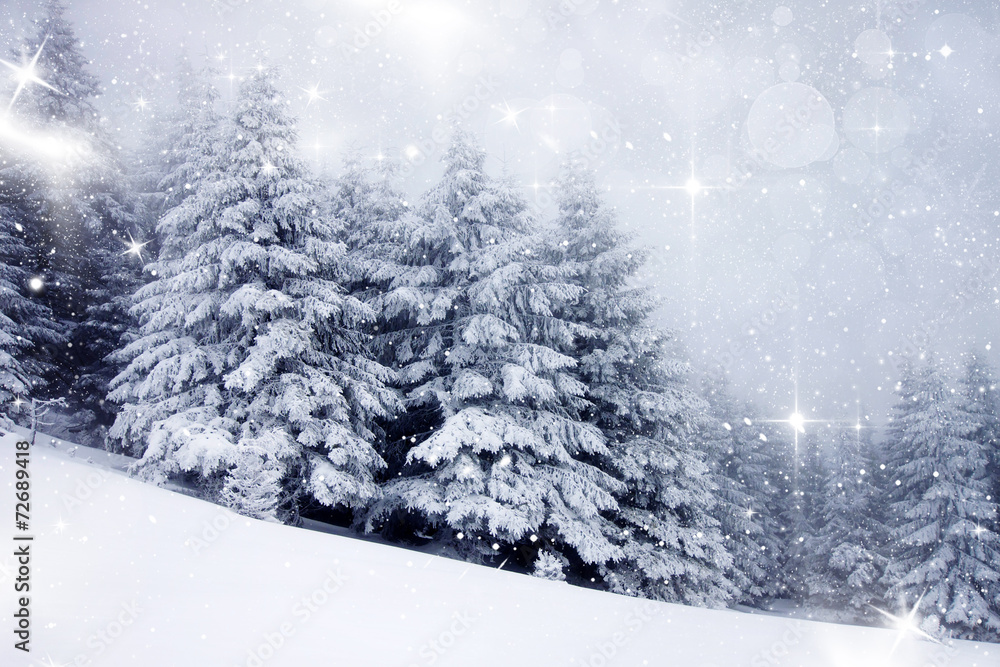 Fototapeta premium Christmas background with snowy fir trees
