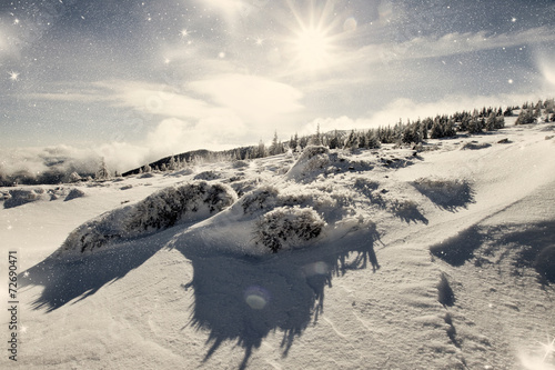 Fresh snow photo