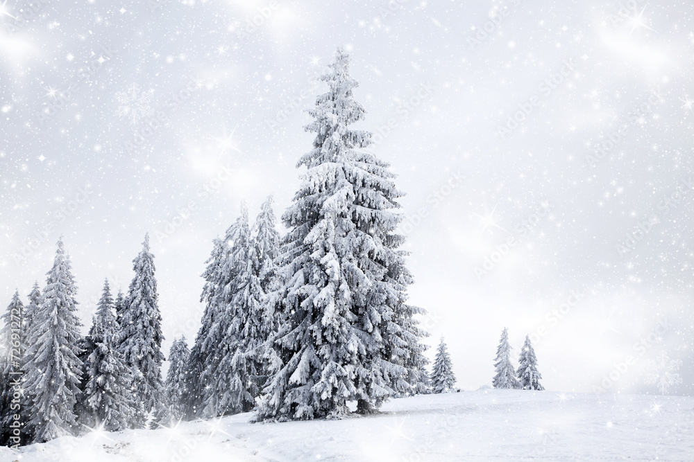 Christmas background with snowy fir trees Christmas background with snowy fir trees