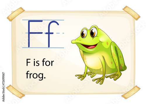 Frog flashcard