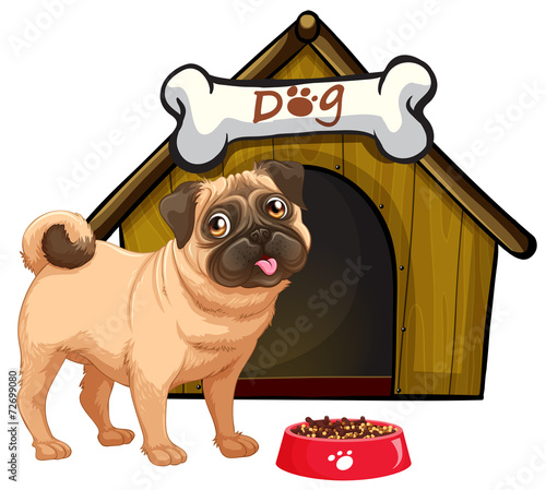 Dog and his home