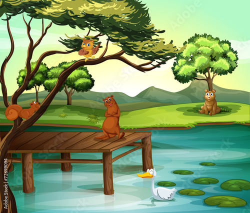 Pond scene