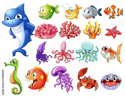 Ocean creatures set