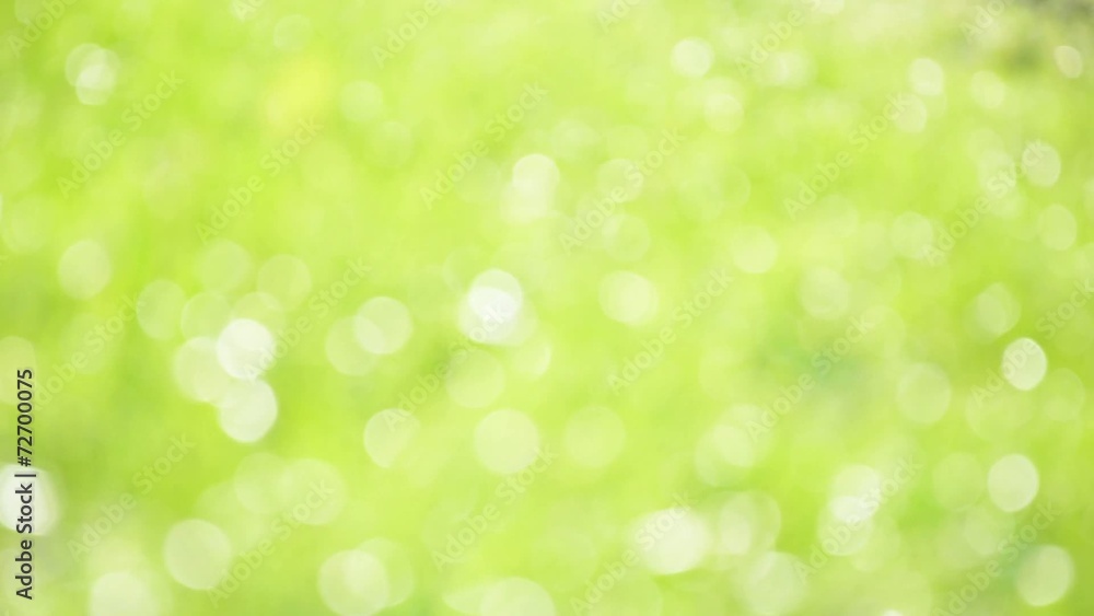 Defocused abstract nature background with bokeh. HD Defocused abstract nature background with bokeh. HD