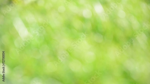 Defocused abstract nature background with bokeh. HD
