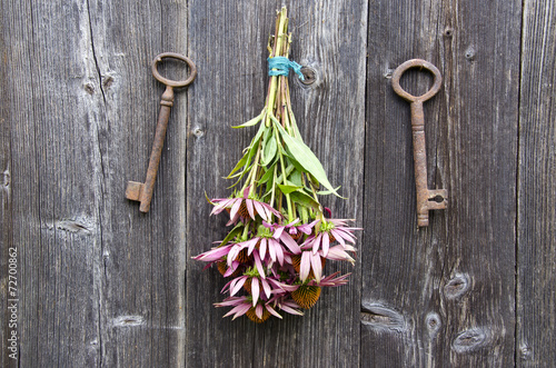 medical herbs echinacea flowers bunch and old rusty key on wall photo