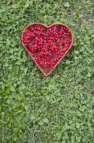 medical healthy viburnum berry in wicker heart form basket