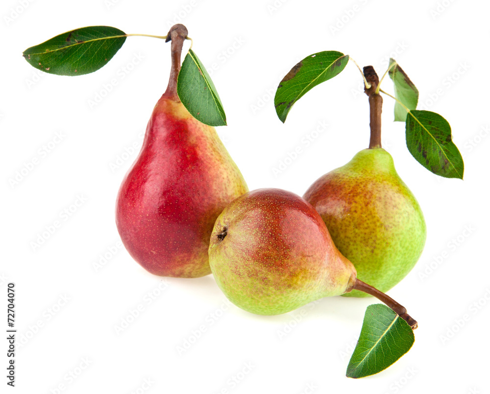 pears pears