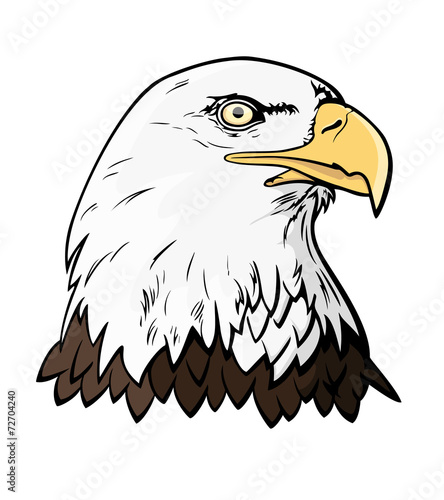 Eagle's head