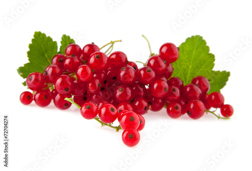 currant