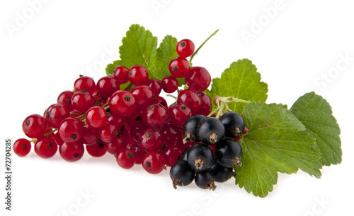 currants on a white background