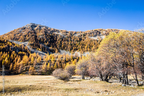 Au coeur du parc du Mercantour photo