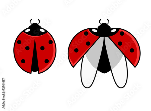 Ladybirds