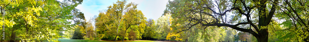 Naklejka premium Fall in public park