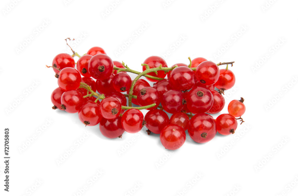 Bunch of red currants on a white background Bunch of red currants on a white background